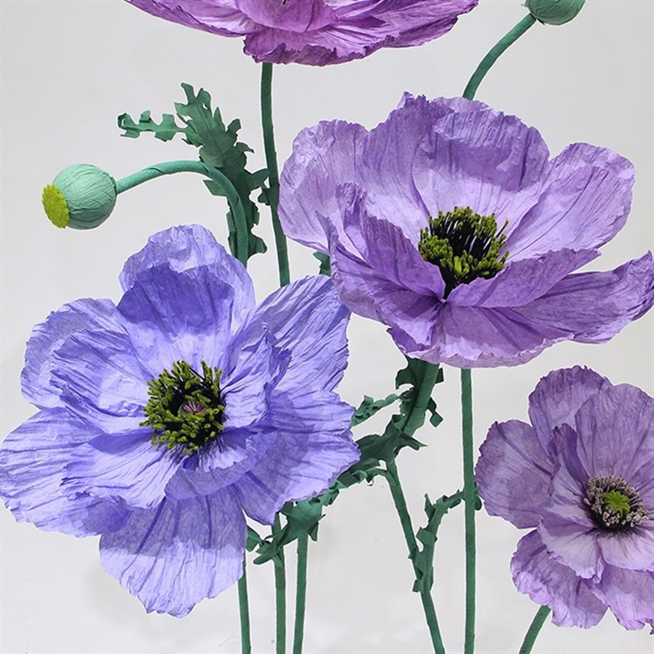 crepe paper flower backdrop