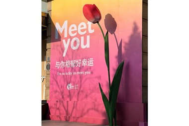 Flores de papel grandes